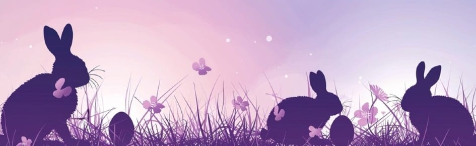 The Bnnuy Republic Discord Server Banner