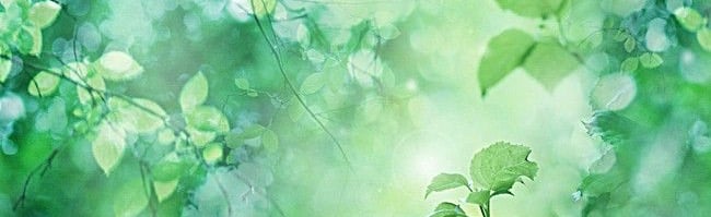 kitys Discord Server Banner