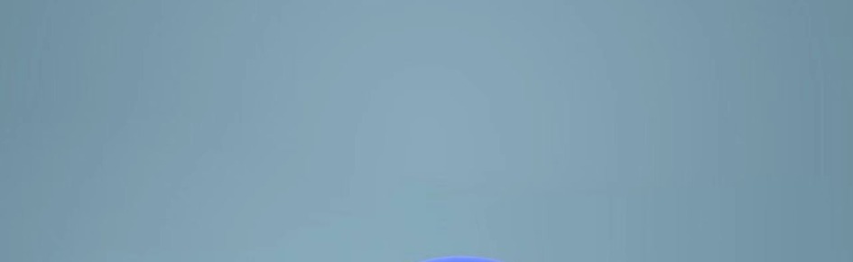 Crazy Pig Discord Server Banner