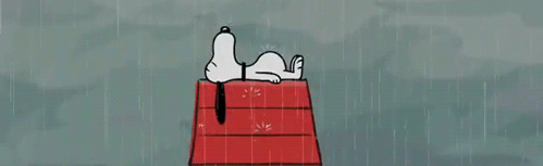 Rain Gang Discord Server Banner