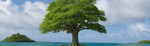 Freshh Discord Server Banner