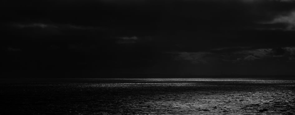 Ducky Lounge 2.0 Discord Server Banner