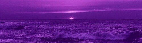 Cheq Hangout Server Discord Server Banner