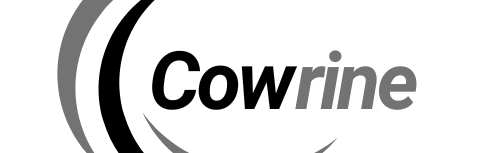 Cowrine Services Discord Server Banner