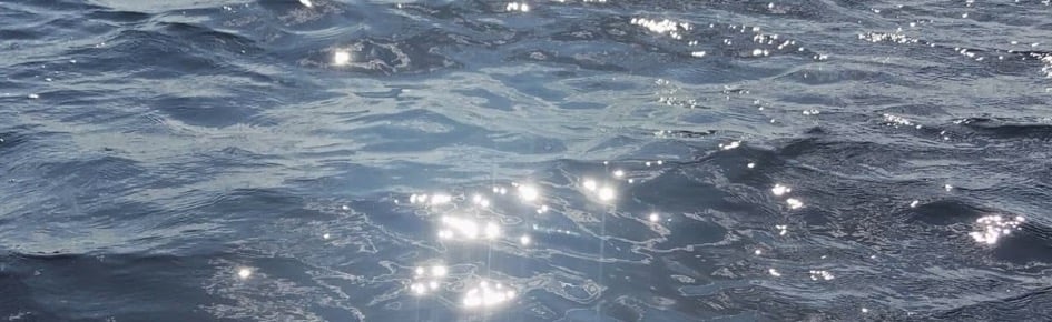 Gojo’s Violin Class Discord Server Banner