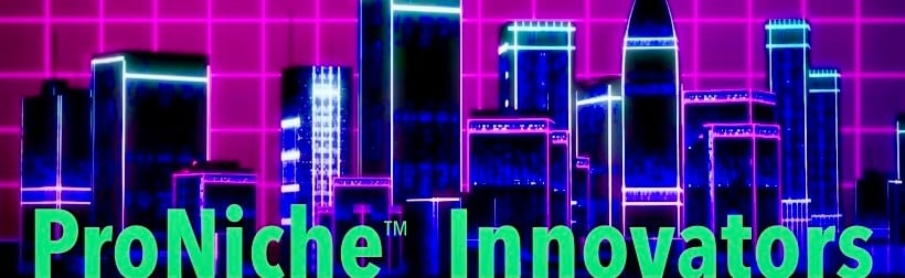 ProNiche™ Innovators Discord Server Banner