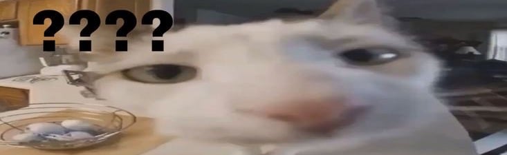 spicy crunch wrap supreme Discord Server Banner