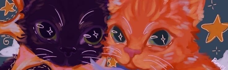 euvo’s sleepover Discord Server Banner