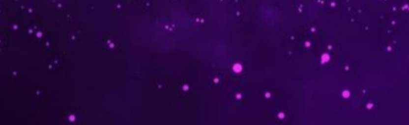 Buteco da Esquina Discord Server Banner