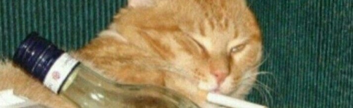 Os Chapados Discord Server Banner