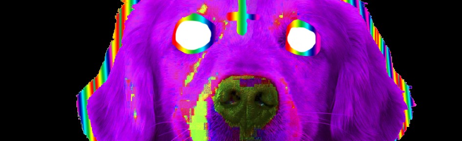 GåsMacka Discord Server Banner