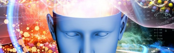 The Erotic Hub Discord Server Banner