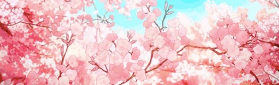 graciéuse ? ｡ﾟ• Discord Server Banner