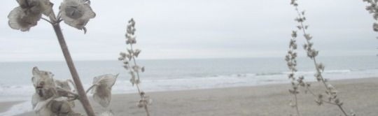 ༉‧₊˚𝜗𝜚 dti freakstars Discord Server Banner