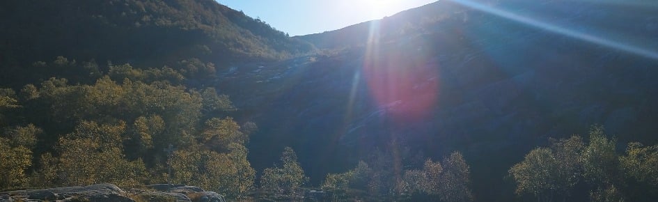 Avian Sanctuary Discord Server Banner