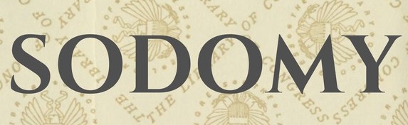 The Hornet's Nest Discord Server Banner