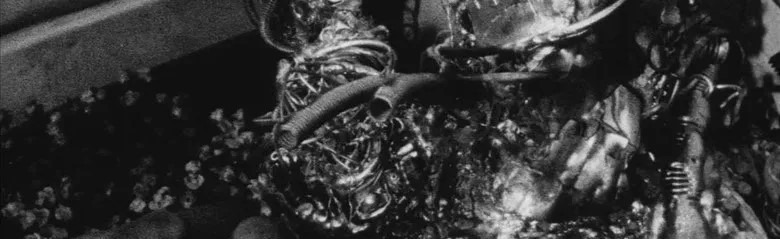 Disturbing Film Fans Discord Server Banner