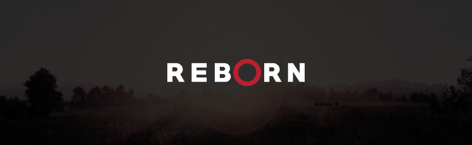 Reborn EU DayZ Community Discord Server Banner