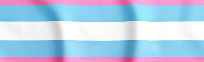 Love in Transition Discord Server Banner