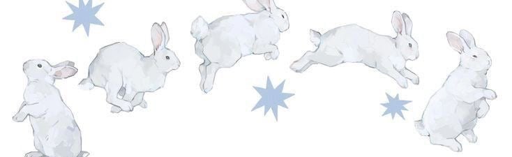 Meet Carter 😏💋 Discord Server Banner