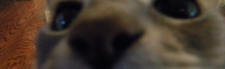 riotous (18+) Discord Server Banner