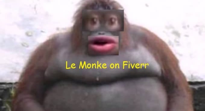 Monke City Discord Server Banner