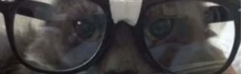 Fatness Discord Server Banner