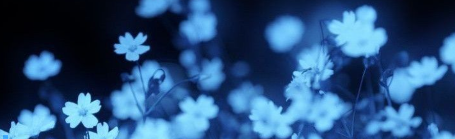 🌀 𝐣𝐮𝐤𝐢𝐢𝐭𝐨𝐫𝐨 ✩ ₊˚ Discord Server Banner