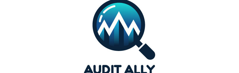 Audit Ally Discord Server Banner