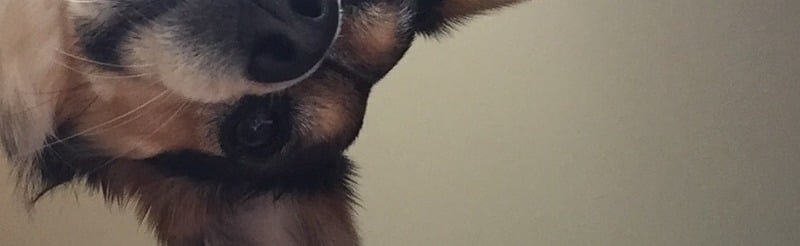 Cringe Cage Discord Server Banner