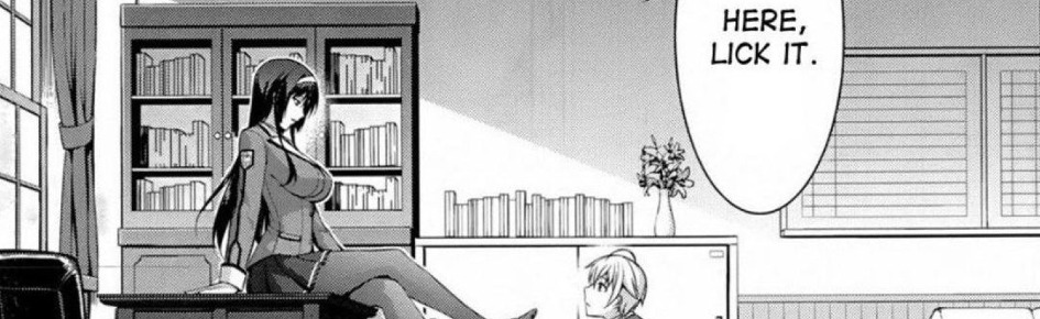 Lush Vixen's toys ⋅˚₊‧ Discord Server Banner