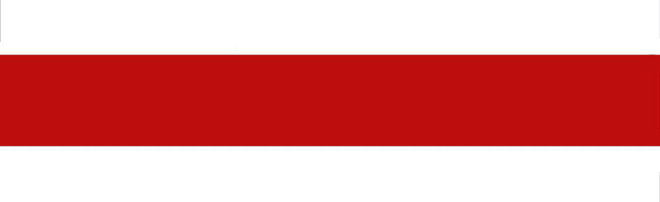 ValeiskPPF Discord Server Banner