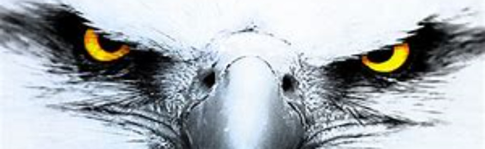 Flying Kingdom Discord Server Banner