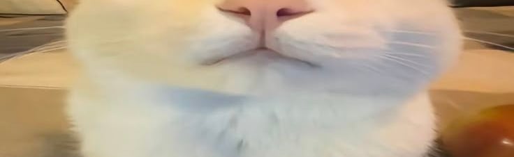 Dranic's station Discord Server Banner