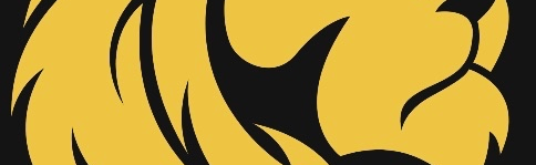 Lionheart University Discord Server Banner