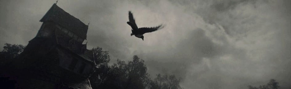 Crow’s Graveyard Discord Server Banner