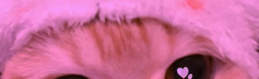 Active.CC Discord Server Banner