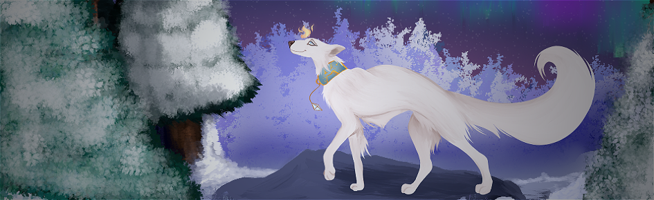 Winterdawn Discord Server Banner