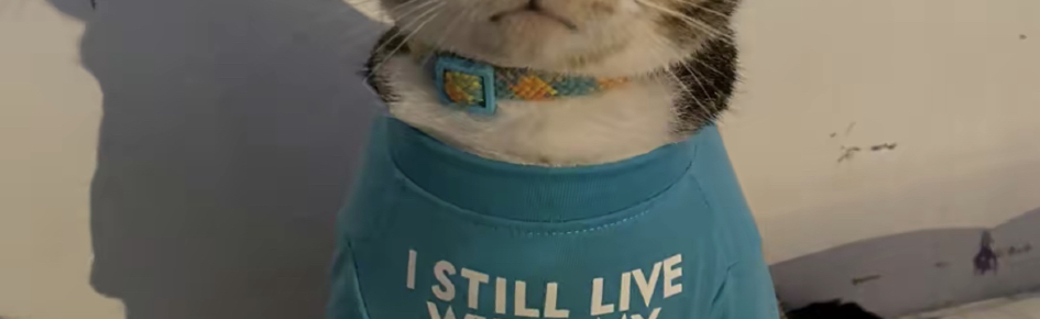 Money Calling Discord Server Banner