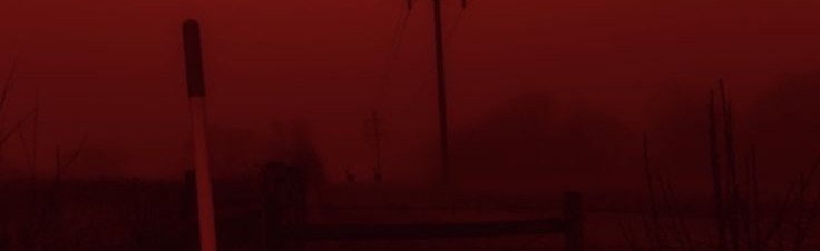 𝖣𝖾𝖺𝖽 𝗈𝖿 𝖭𝗂𝗀𝗁𝗍⋆ ˚｡⋆୨୧˚ Discord Server Banner