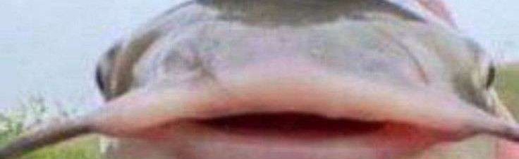 Kitra, The ERP Maid Cafe Discord Server Banner