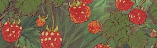 BuckeyePace Discord Server Banner