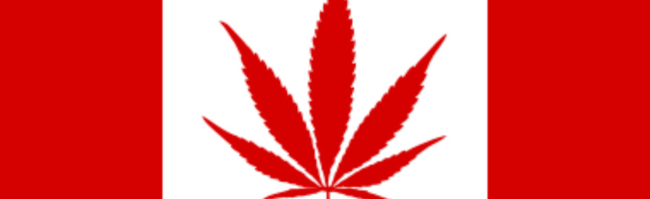 ? The Gas Station ?⛽ Discord Server Banner