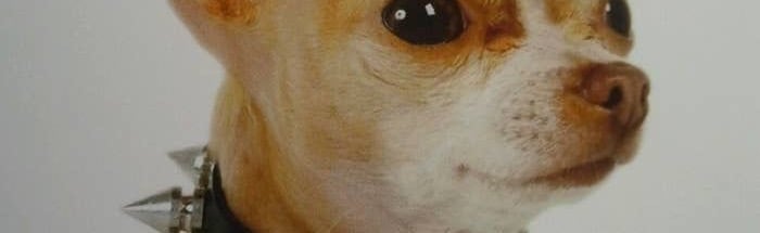 We don’t like hip hop Discord Server Banner