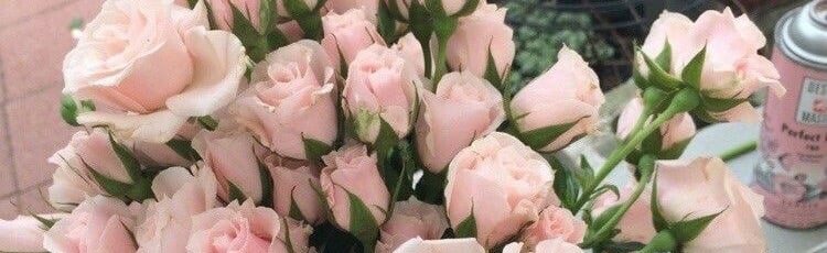 Lifelabproduction Discord Server Banner