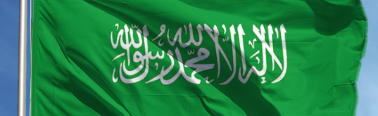 Suuidi Arabistan | Py Discord Server Banner