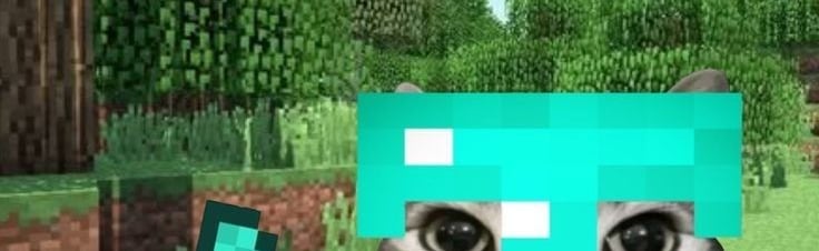 VillanArcSMP Discord Server Banner