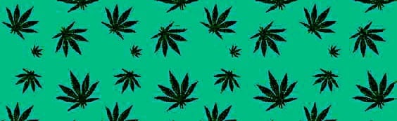 Utopia Discord Server Banner