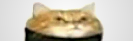 The Legends Discord Server Banner