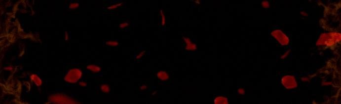 Devil's Kingdom 18+ Discord Server Banner